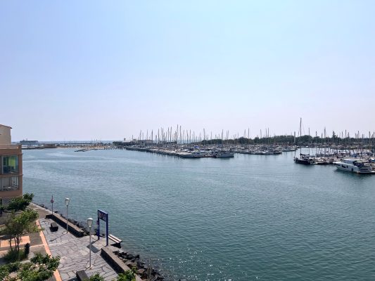 IMG_6923